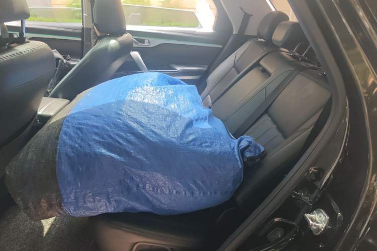 Used CHANGAN CS95 2019 2.0T Two-Wheel-Drive Luxury Version Left Rear Seat