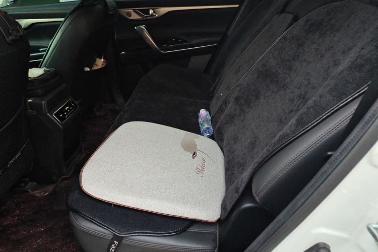 Used CHANGAN CS95 2019 2.0T Two-Wheel-Drive Luxury Version Left Rear Seat