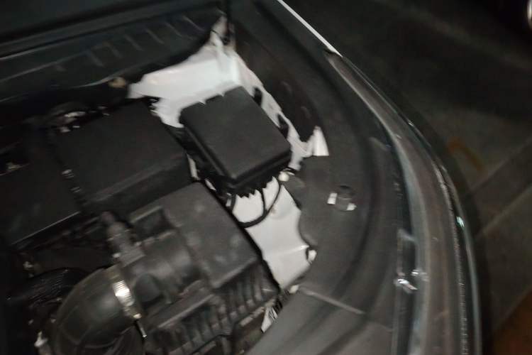Used CHANGAN CS95 2019 2.0T Two-Wheel-Drive Luxury Version Engine Bay Left