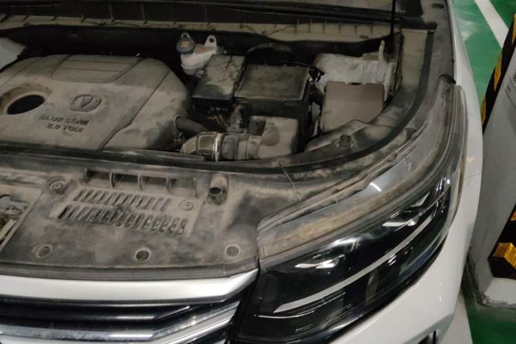 Used CHANGAN CS95 2019 2.0T Four-Wheel Drive Luxury Version Engine Bay Left