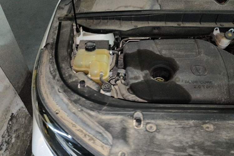 Used CHANGAN CS95 2019 2.0T Two-Wheel-Drive Luxury Version Engine Bay Right
