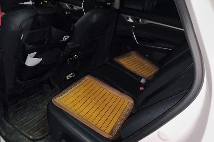 Used CHANGAN CS95 2019 2.0T Two-Wheel-Drive Luxury Version Left Rear Seat