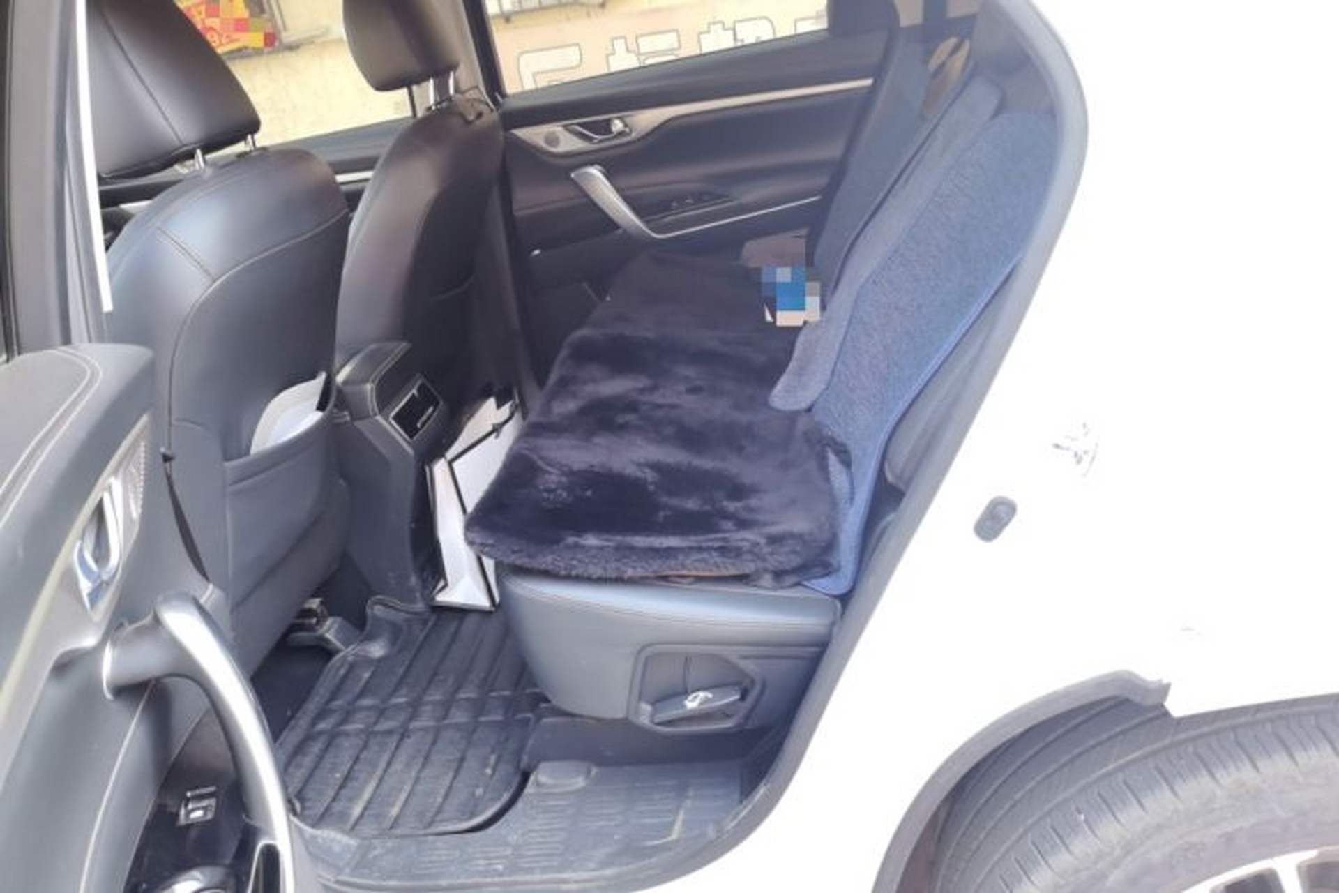 Used CHANGAN CS95 2019 2.0T Two-Wheel-Drive Luxury Version Left Rear Seat