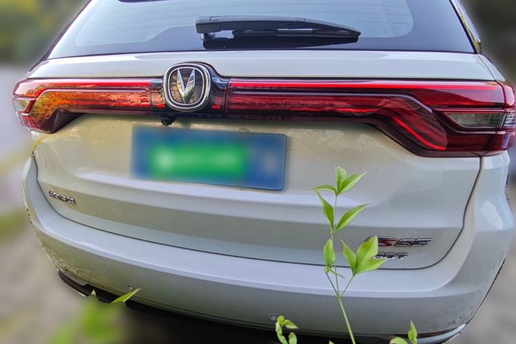 Used CHANGAN CS95 2019 2.0T Two-Wheel-Drive Luxury Version Rear