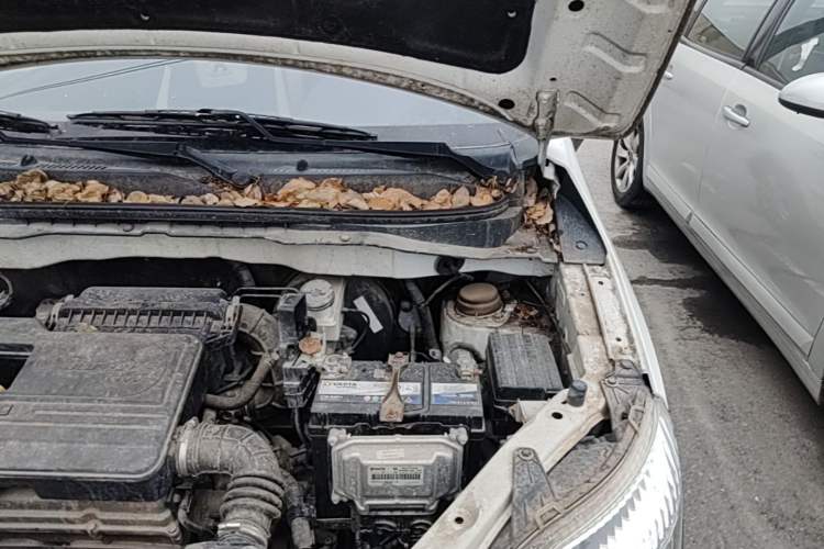 Used CHANGAN CX20 2014 1.4L Manual Sport Version China IV Standard Engine Bay Left