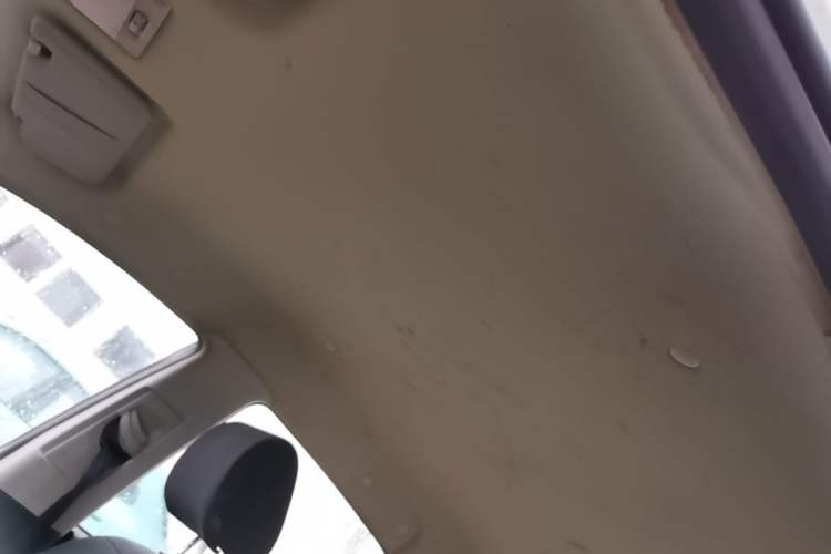 Used CHANGAN CX20 2014 1.4L Manual Sport Edition China V Standard Headliner