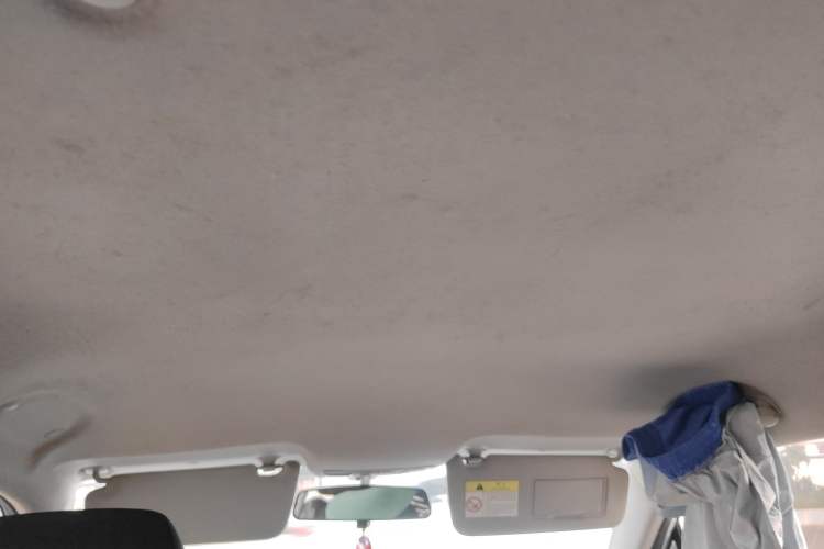 Used CHANGAN E-Pro 2020 High-Performance Edition Headliner