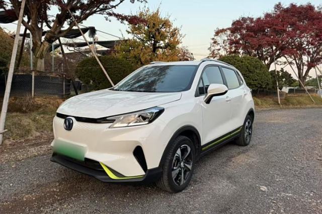 Used CHANGAN E-Pro 2020 High-Performance Edition