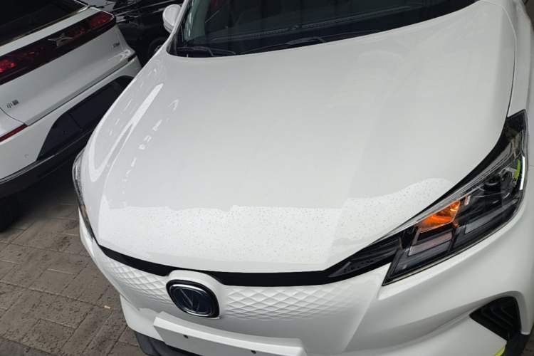 Used CHANGAN E-Pro 2020 Long-Engine Version Front
