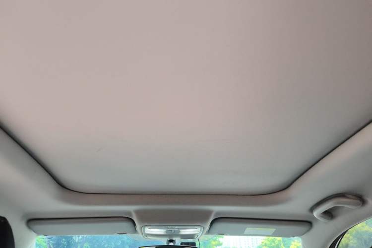 Used CHANGAN E-Pro 2020 Long-Engine Version Headliner