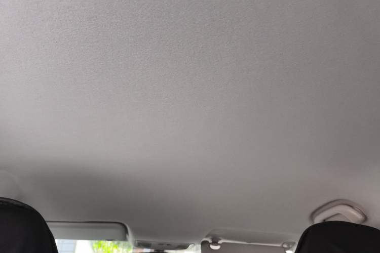 Used CHANGAN E-Pro 2020 High-Performance Edition Headliner