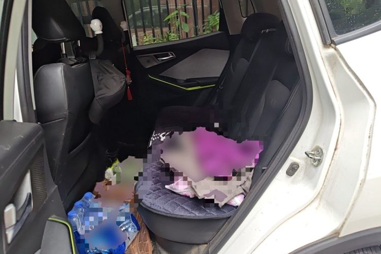 Used CHANGAN E-Pro 2020 Long-Engine Version Left Rear Seat