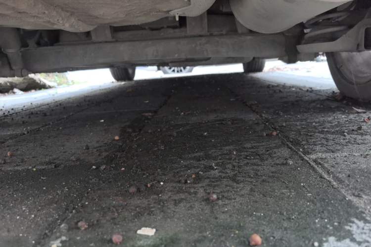Used CHANGAN Eado 2012 1.6L Manual Luxury Model China IV Standard Chassis Rear