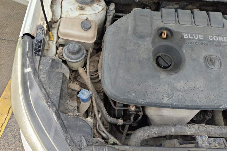 Used CHANGAN Eado 2012 1.6L Manual Luxury Model China IV Standard Engine Bay Right