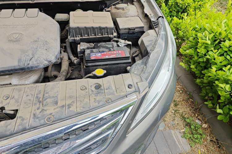Used CHANGAN Eado 2012 1.6L Manual Luxury Version China IV Standard Engine Bay Left