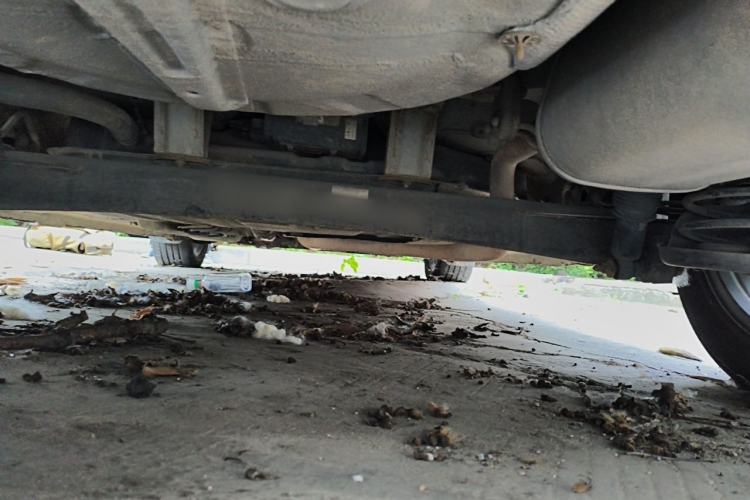 Used CHANGAN Eado  Chassis Rear