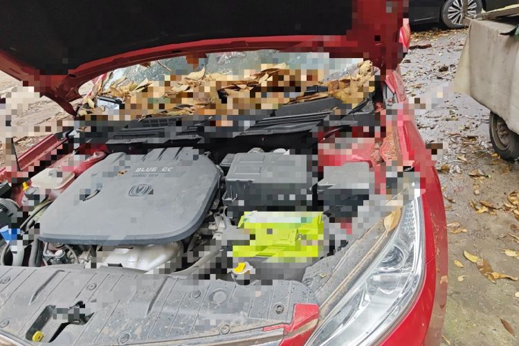 Used CHANGAN Eado 2014 1.6L Automatic Luxury Model Engine Bay Left