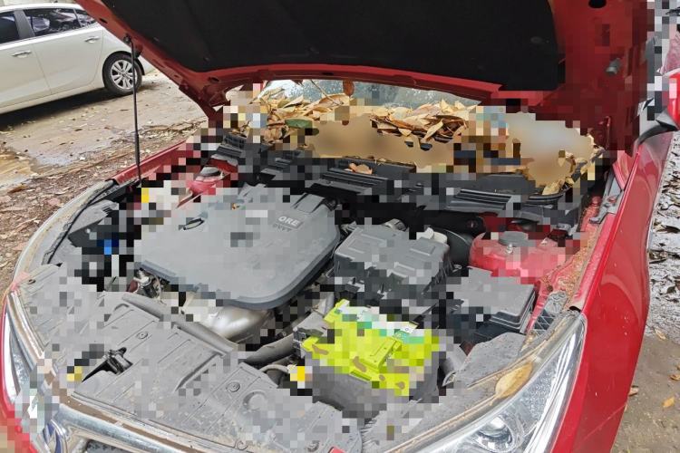 Used CHANGAN Eado 2014 1.6L Automatic Luxury Model Engine Bay