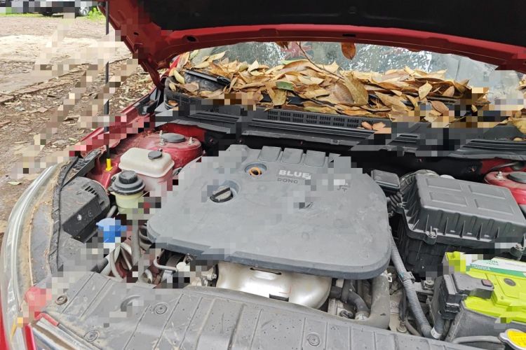 Used CHANGAN Eado 2014 1.6L Automatic Luxury Model Engine Bay Right