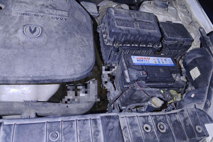 Used CHANGAN Eado 2014 1.6L Automatic Luxury Model Engine Bay Left