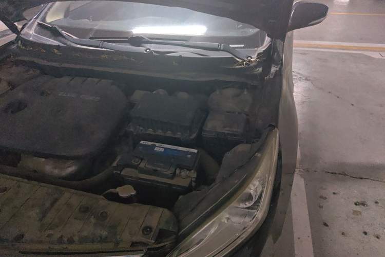 Used CHANGAN Eado 2015 1.6L Manual Luxury Model China V Standard Engine Bay Left