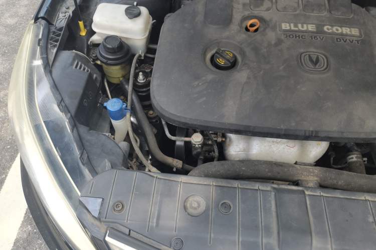 Used CHANGAN Eado 2015 1.6L Manual Luxury Model China IV Standard Engine Bay Right