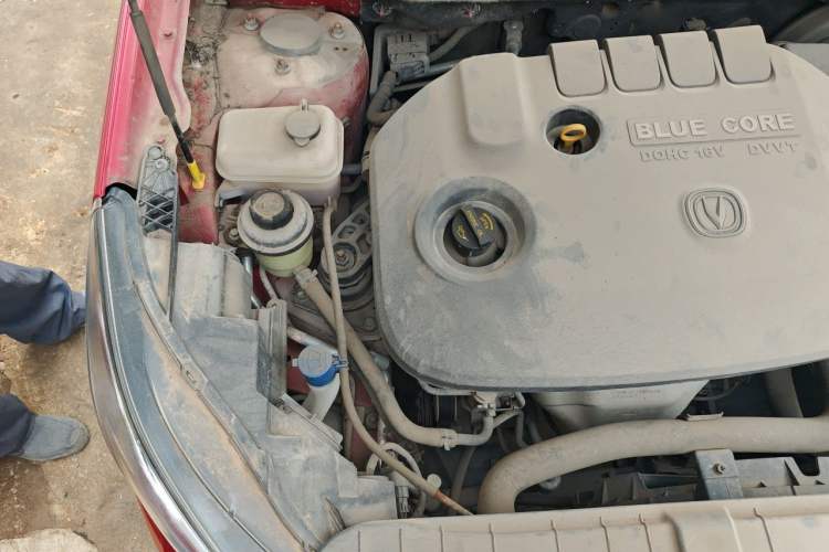 Used CHANGAN Eado 2015 1.6L Manual Luxury Model China IV Standard Engine Bay Right