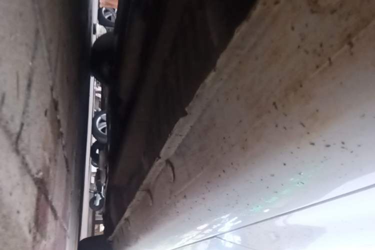 Used CHANGAN Eado 2015 1.6L Manual Junku Model China IV Standard Chassis Rear Right