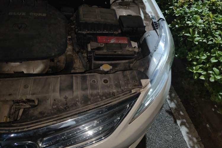 Used CHANGAN Eado 2015 1.6L Manual Luxury Model China IV Standard Engine Bay Left
