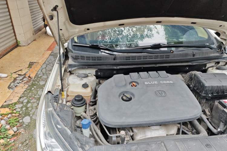 Used CHANGAN Eado 2015 1.6L Manual Luxury Model China IV Standard Engine Bay Right
