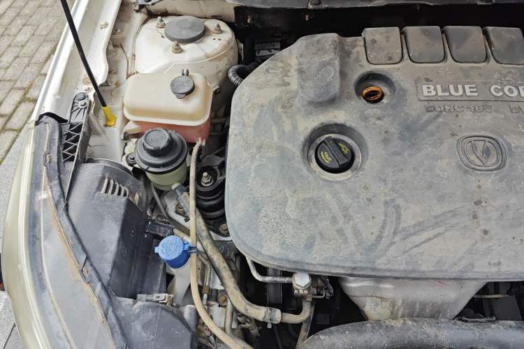 Used CHANGAN Eado 2015 1.6L Manual Luxury Model China IV Standard Engine Bay Right