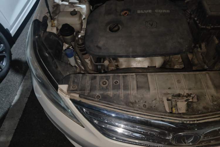 Used CHANGAN Eado 2015 1.6L Manual Luxury Model China IV Standard Engine Bay Right