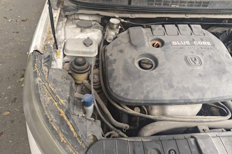 Used CHANGAN Eado 2015 1.6L Manual Luxury Model China IV Standard Engine Bay Right
