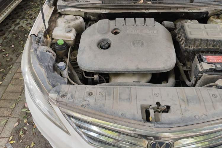 Used CHANGAN Eado 2015 1.6L Manual Luxury Model China IV Standard Engine Bay Right