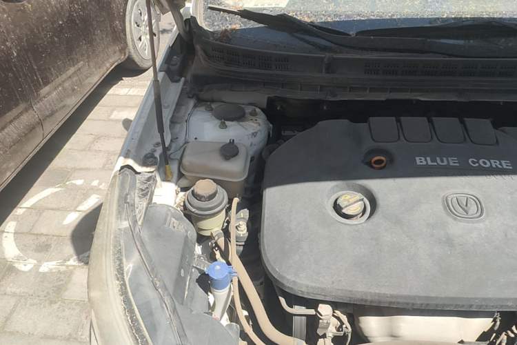 Used CHANGAN Eado 2015 1.6L Manual Luxury Model China IV Standard Engine Bay Right