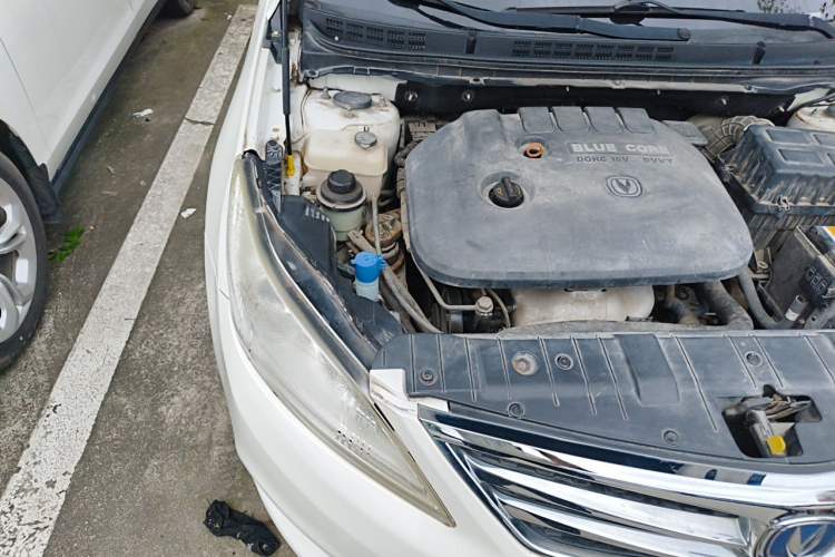 Used CHANGAN Eado 2015 1.6L Manual Luxury Model China IV Standard Engine Bay Right