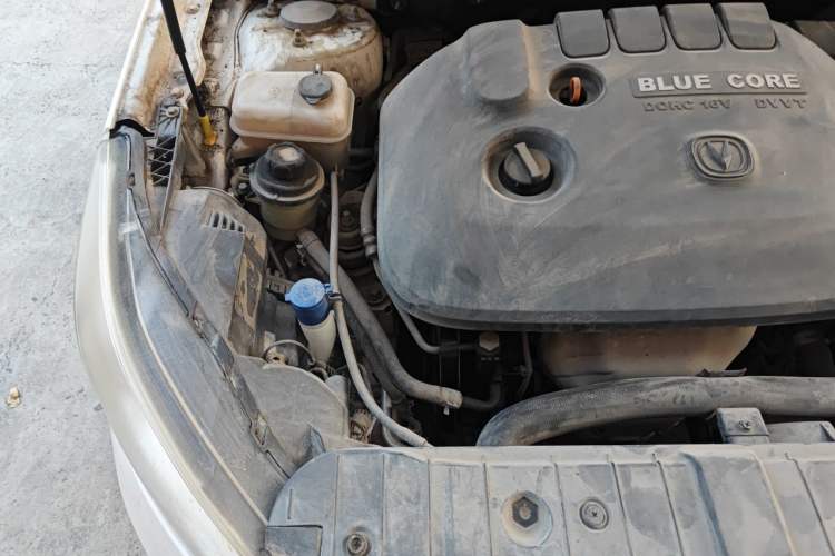 Used CHANGAN Eado 2015 1.6L Manual Luxury Model China IV Standard Engine Bay Right