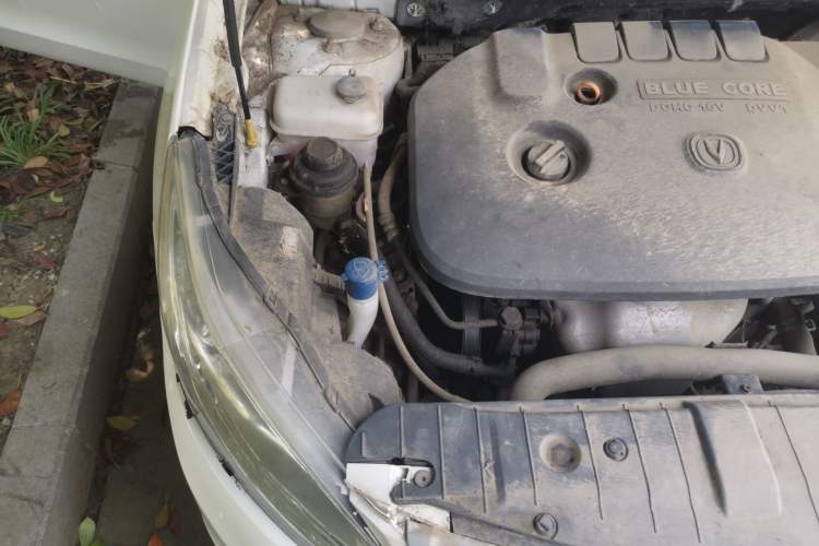 Used CHANGAN Eado 2015 1.6L Manual Luxury Model China IV Standard Engine Bay Right