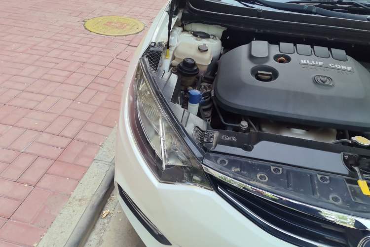 Used CHANGAN Eado 2015 1.6L Manual Shangkue Model China IV Right Front Headlight