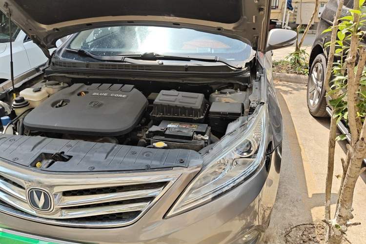 Used CHANGAN Eado 2015 1.6L Manual Luxury Model China IV Standard Engine Bay Left