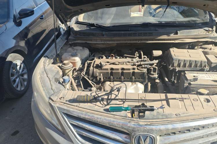 Used CHANGAN Eado 2015 1.6L Manual Luxury Model China IV Standard Engine Bay Right