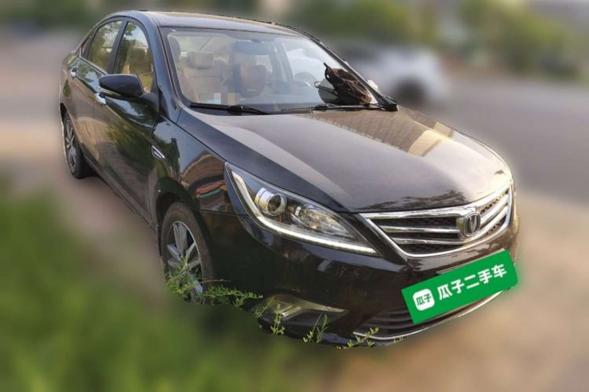 Used CHANGAN Eado 2016 1.6L Automatic Trend Model Front Right 45 Deg