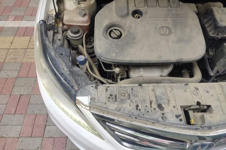 Used CHANGAN Eado 2016 1.6L Manual Fashion Edition Engine Bay Right