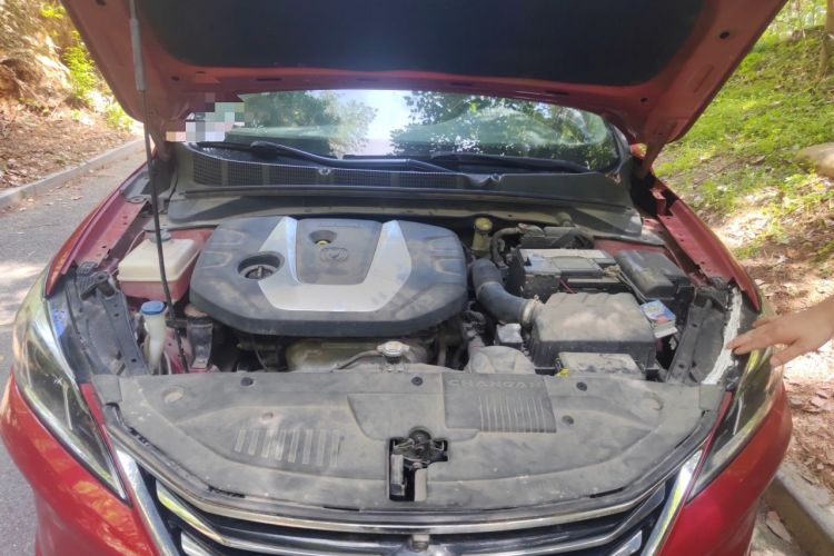 Used CHANGAN Eado 2018 1.6L GDI Automatic Trendy Model China V Standard Engine Bay