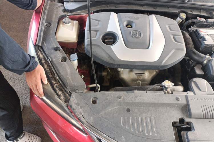 Used CHANGAN Eado 2018 1.6L GDI Manual Fashion Edition Engine Bay Right