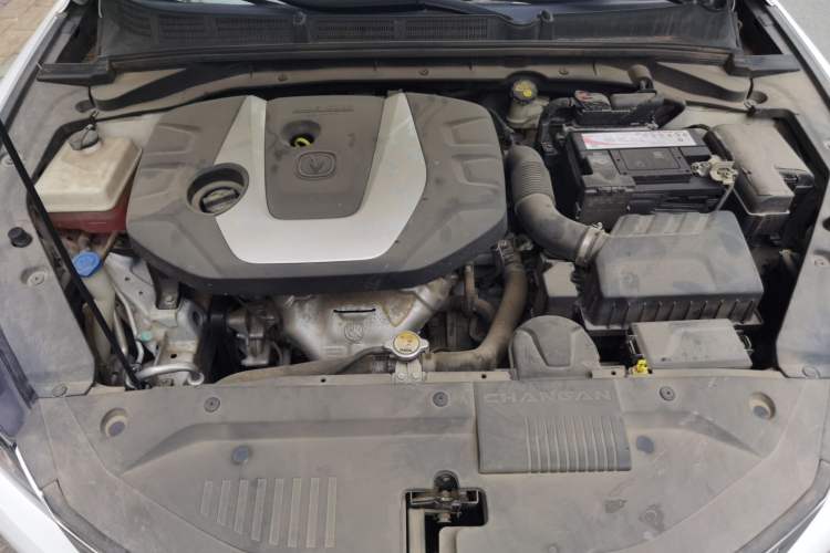 Used CHANGAN Eado 2018 High-Energy Edition 1.6L GDI Automatic Zhenfeng Model China V Standard Engine Bay