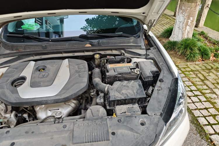 Used CHANGAN Eado 2018 1.6L GDI Automatic LingShang Model Engine Bay Left