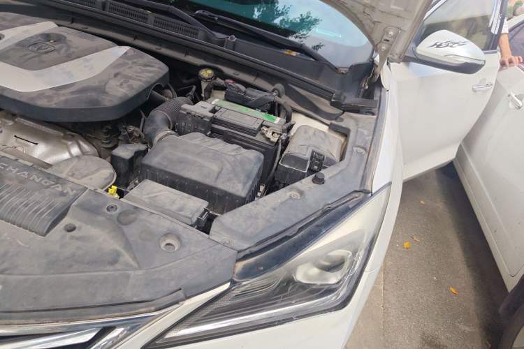 Used CHANGAN Eado 2018 1.6L GDI Automatic LingShang Model Engine Bay Left