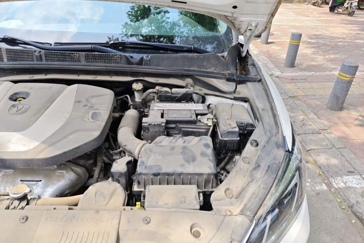 Used CHANGAN Eado 2018 1.6L GDI Manual Trendy Model China V Standard Engine Bay Left
