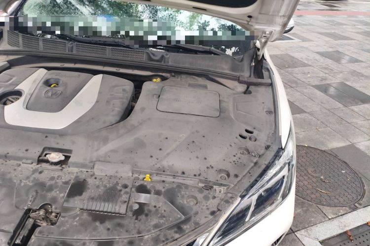 Used CHANGAN Eado 2018 1.6L GDI Automatic Trendy Model China V Standard Engine Bay Left